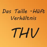 Taille Hüft Verhältnis