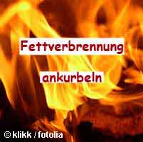 Fettverbrennung ankurbeln